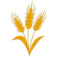 A illustration of three stylized wheat stalks, rendered in warm golden hues, with detailed individual grains and flowing leaves, perfect for harvest themes or agricultural designs. vector