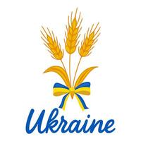 A charming illustration featuring three golden wheat stalks tied with a blue and yellow ribbon, symbolizing Ukraine, set against a clean white background. vector