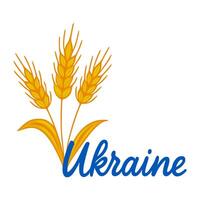 A illustration featuring three stylized wheat stalks in golden hues, subtly positioned behind a bold blue cursive Ukraine script, creating a design evocative of Ukrainian national identity... vector