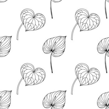 sin costura modelo de estilizado anturio hojas en negro y blanco, presentando un mezcla de en forma de corazon y alargado hoja formas para elegante diseño aplicaciones vector