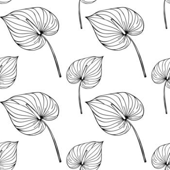 Seamless pattern with hand-drawn black outline Anthurium flowers on a white background, creating a minimalist and elegant design ideal for various applications. vector