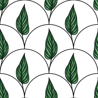 Seamless pattern of stylized dark green leaves arranged in a unique arc-shaped composition on a white background, creating a modern and elegant botanical design.