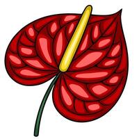 Vibrant illustration of a stylized Anthurium flower with a textured, heart-shaped petal and a bold yellow spadix, showcasing rich red and yellow hues. vector
