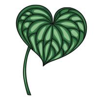 illustration of a stylized heart-shaped leaf with intricate green patterns and a slender stem, perfect for botanical designs and eco-themed projects. vector