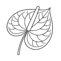 Elegant illustration of a single Anthurium flower leaf, depicted in a minimalist line art style with intricate vein details, suitable for design projects needing a touch of botanical sophist... vector