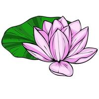 Delicate illustration of a pink lotus flower resting gracefully on a vibrant green leaf, capturing the serene beauty of aquatic flora. vector