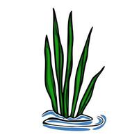 This illustration depicts a stylized cluster of vibrant green aquatic plants emerging from a simplified blue water surface, offering a unique and minimalist design. vector