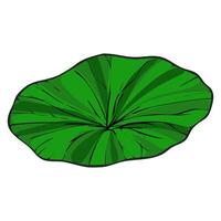 This illustration features a vibrant green lotus leaf, depicted from an overhead perspective, showcasing detailed veining and a slightly textured surface, ideal for adding a touch of nature... vector