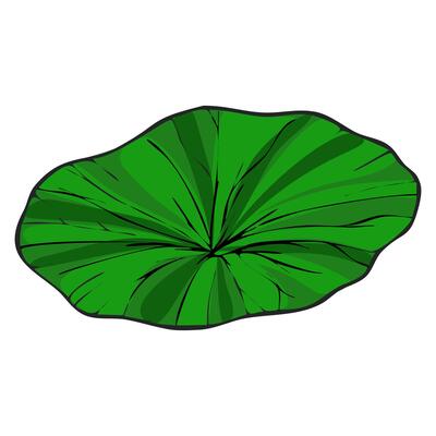 This illustration features a vibrant green lotus leaf, depicted from an overhead perspective, showcasing detailed veining and a slightly textured surface, ideal for adding a touch of nature...