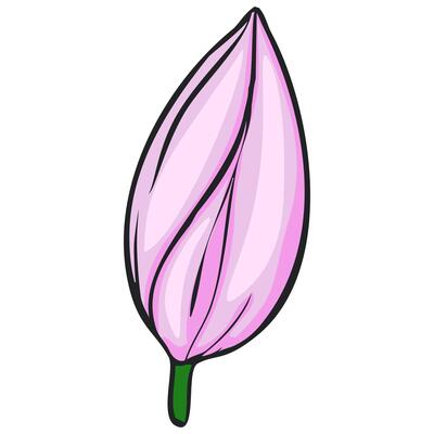 This illustration features a single, stylized magnolia bud, rendered in soft pink hues with dark outlines, showcasing a delicate, slightly abstract floral design ideal for spring-themed