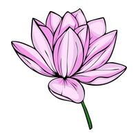 This illustration showcases a single, stylized pink lotus flower with bold outlines and a gradient fill, presented against a clean white background, ideal for design projects seeking a touch vector