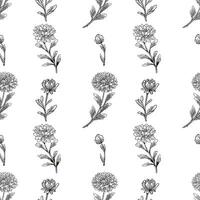 Elegant seamless pattern with hand-drawn outline chrysanthemum flowers and leaves, featuring detailed botanical illustrations in a repeating design ideal for textile, wallpaper, or surface design... vector