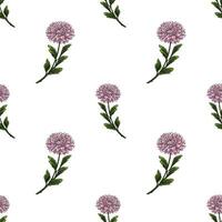 Seamless pattern with delicate pink chrysanthemum flowers and green leaves on a white background, creating a charming and elegant floral design. vector