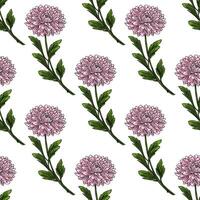 Seamless pattern of delicate pink chrysanthemum flowers with detailed green leaves, creating a charming and elegant floral design perfect for textile prints, wallpapers, or surface patterns. vector