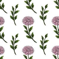 Seamless pattern of delicate pink chrysanthemum flowers and green leaves, hand-drawn in a vintage botanical style, perfect for textile prints or wallpaper designs. vector