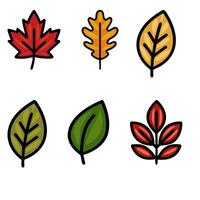 Collection of six diverse autumn leaves maple, oak, and other unique leaf shapes in bold colors. vector