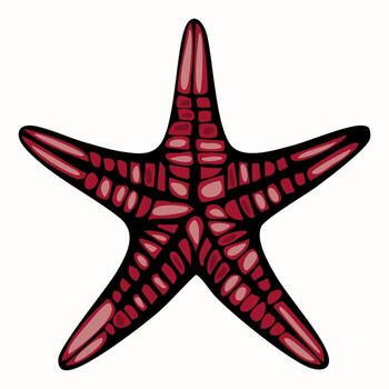 A stylized illustration of a starfish with a vibrant red color and intricate patterns on its surface, set against a light background. vector