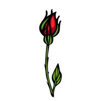 A stylized illustration of a red rose bud with green leaves, featuring bold outlines and a modern design. vector