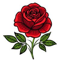 A vibrant red rose with detailed petals and green leaves, showcasing a classic tattoo style. The rose is prominently displayed against a white background, emphasizing its beauty. vector