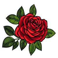 A vibrant red rose with intricate petals and lush green leaves, symbolizing love and beauty. The design features bold outlines and a striking color contrast, ideal for floral-themed projects. vector
