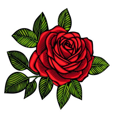 A vibrant red rose with intricate petals and lush green leaves, symbolizing love and beauty. The design features bold outlines and a striking color contrast, ideal for floral-themed projects.