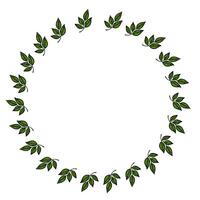 A circular arrangement of green leaves on a white background, creating a natural frame or border. vector