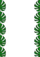 A vertical design featuring large green monstera leaves on both sides, creating a frame effect against a white background. vector