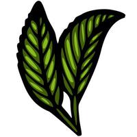 A stylized illustration of two green leaves with detailed veins, set against a white background. The leaves are vibrant and glossy, showcasing a natural look. vector