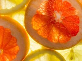 A close up of a bunch of oranges and lemons photo