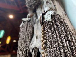 A bunch of brown and white beads hanging from a tree photo