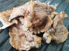 A close up of a piece of meat on a grill photo