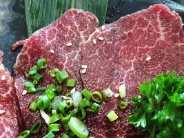 A plate of meat with green onions and parsley photo