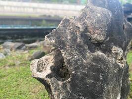 A large rock that is sitting in the grass photo