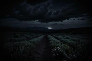 A dark night sky with a path leading to the moon photo