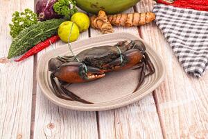 A plate with a crab on it next to other vegetables photo