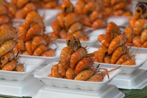 A bunch of shrimp on a plate photo