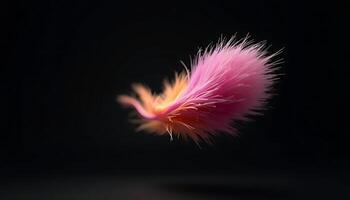 Floating Colorful Feather Against a Dark Background in a Soft Style photo