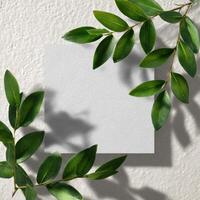 A blank piece of paper surrounded by green leaves photo