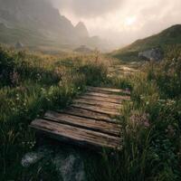 A wooden bridge in a field with grass and flowers photo