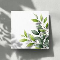 A white square with green leaves on it photo