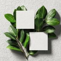 Three blank cards on a green leaf background photo