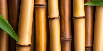 Bamboo stalks forming a natural background with green leaves photo