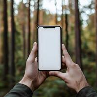 Man holding smartphone in forest photo