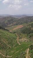 Vertical View Mountain Valley of Tua in Portugal video
