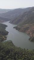 Aerial Footage of the Tua River winding through lush mountains in northern Portugal Vertical View video