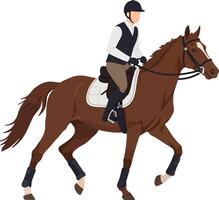 Equestrian rider on galloping brown horse with full riding gear and helmet in active motion vector