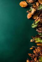 Colorful Autumn Leaves on a Green Backdrop Create a Serene Natural Composition photo