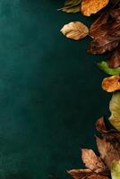 Colorful Autumn Leaves on a Green Backdrop Create a Serene Natural Composition. photo