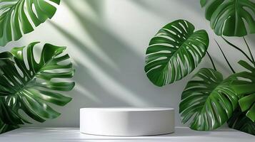 Display Platform Surrounded by Lush Green Plants in a Well-Lit Indoor Setting photo