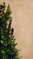 Wildflowers and Foliage Arranged Beautifully on a Neutral Background for Natural Decor photo